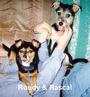 Roudy & Rascal